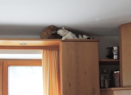 linda-gandhi-kitchen-top-dscn1409