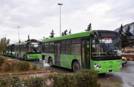 aleppo-green-buses-1