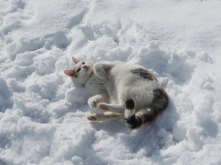 linda-rolling-snow-dscn1260