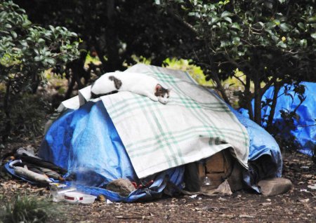 revolution-of-loneliness-00026